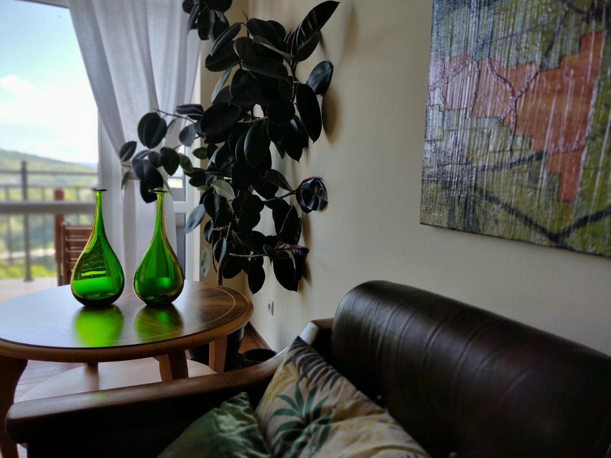Апартаменты Art Studio Turnovo Велико-Тырново Экстерьер фото